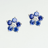 14 Kt White Gold Sapphire & Diamond Set